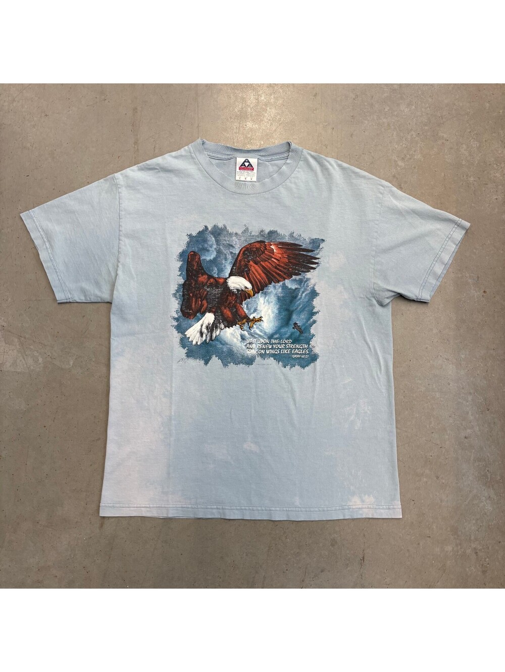 Vintage 90s Eagle Religious Nature Thrashed T-Shirt Large Blue